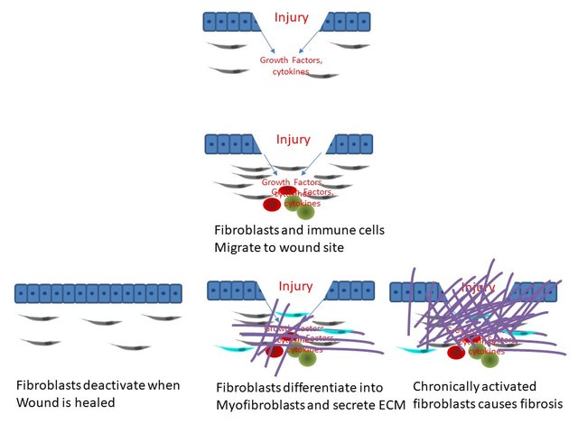 Biopharma Nov 2015 [Autosaved] - draft 2.jpg